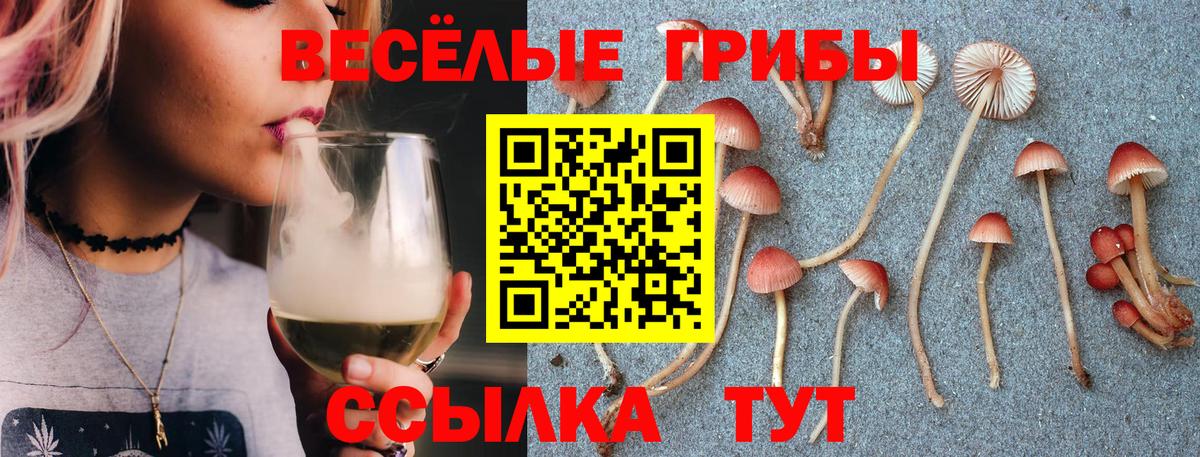 Псилоцибиновые грибы ЛСД Калининград