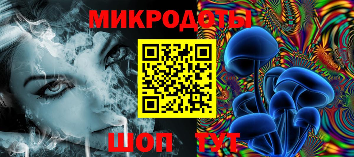 Псилоцибиновые грибы GOLDEN TEACHER  как найти наркотики  Калининград 