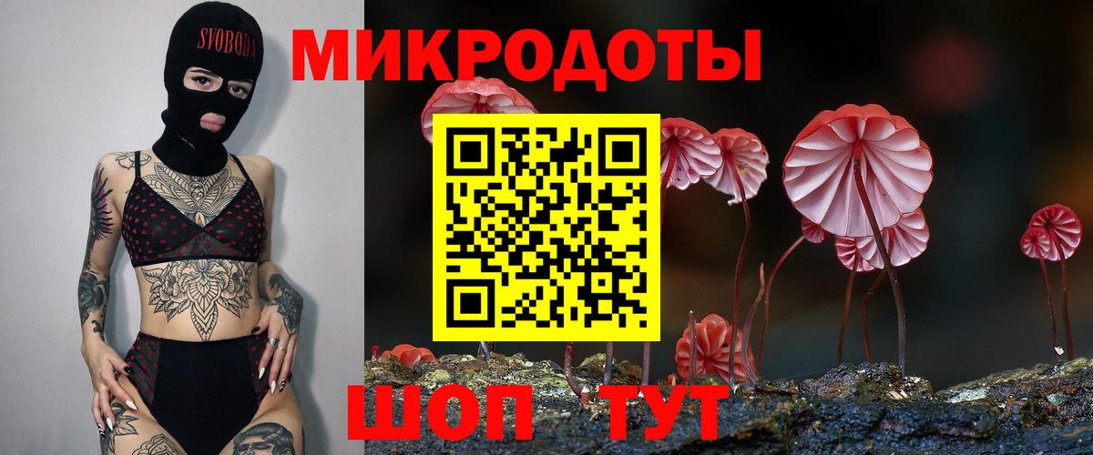 Галлюциногенные грибы Magic Shrooms Калининград