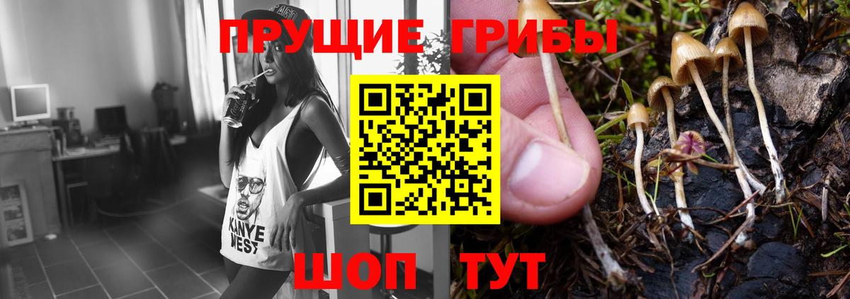 где найти   Псилоцибиновые грибы Magic Shrooms  Вход с VPN  Калининград 