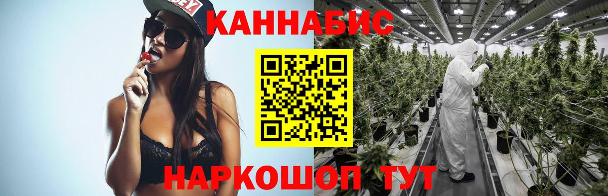 Марихуана конопля Калининград